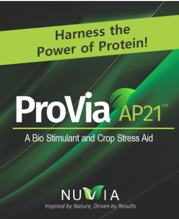 ProVia AP21